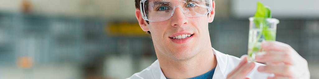 Plano de Saude Empresa Caixa Seguradora Plano de Saude Empresa Caixa Seguradora